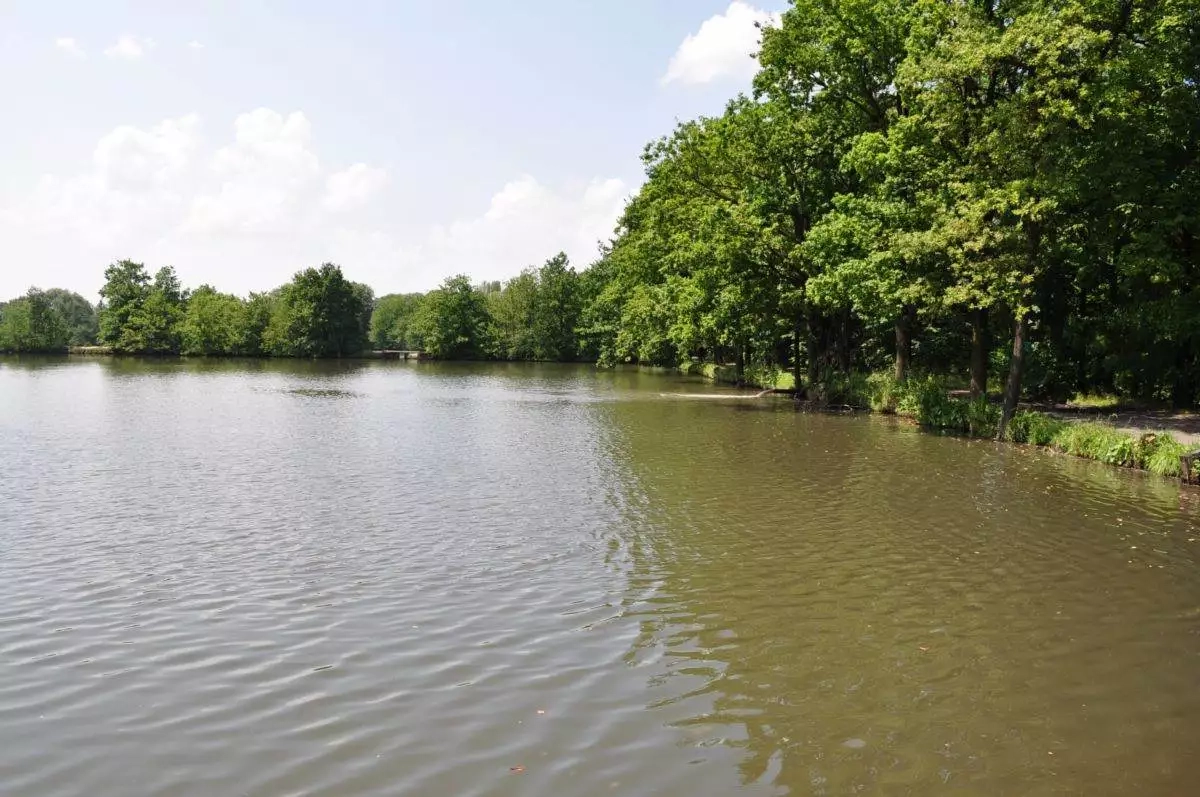 Pilíky včera, dnes a zítra