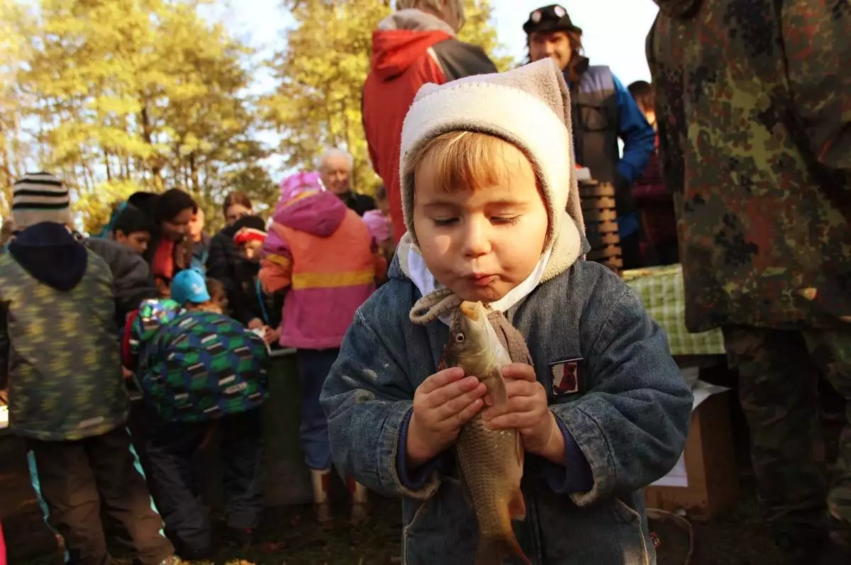 (FOTO) Ryby z Mitrovického rybníku naplnily rybářské sítě