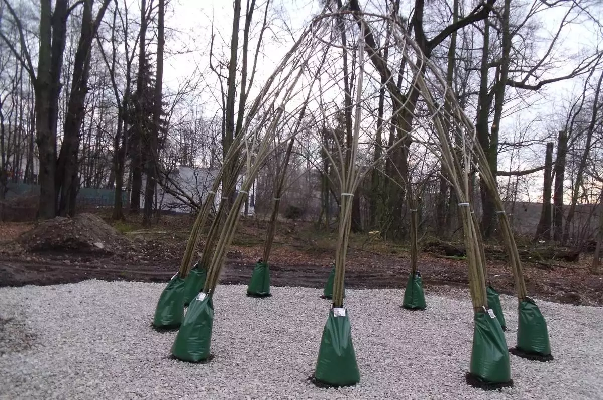 Co bude s parkem Hrabovjanka?