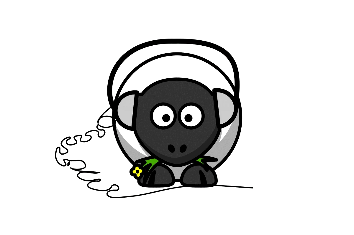 Letní akce a rušení nočního klidu