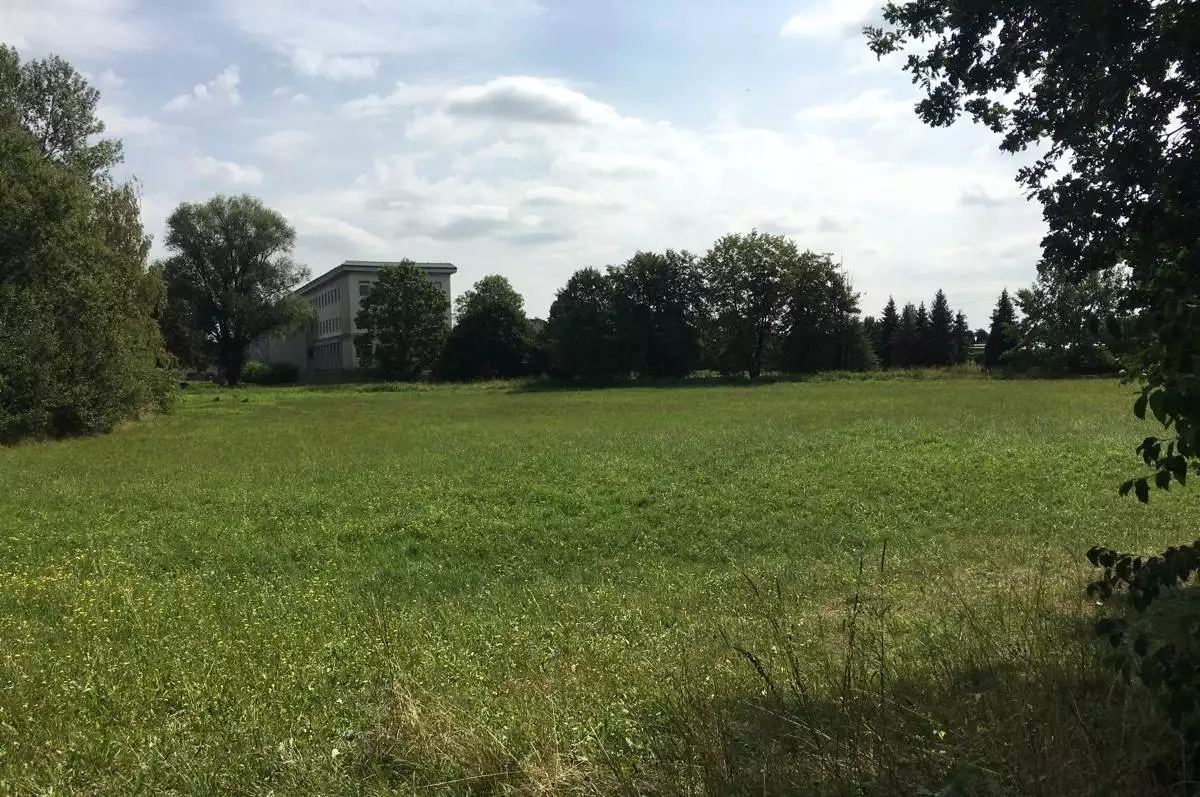 Co vyroste na pozemku vedle školy?