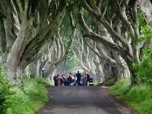 Libor Hromádka byl nominován na Cenu Hanzelky a Zikmunda