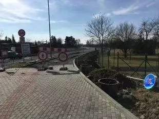 Informace k Mostní: Závlaha vysazených dřevin a migrace zvěře