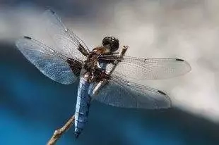 Základní škola: Venkovní přírodní učebna by měla být hotova do konce září