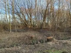 Leden 2020, aktuálně je okolí