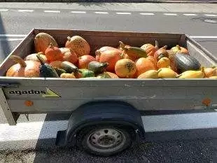 (FOTO) ÄŚlenovĂ© komise pro dÄ›ti a mládeĹľ sbĂrali s přáteli dĂ˝nÄ›