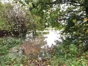 Vladimír Slavík: Hydrogeologický posudek pro lokalitu 