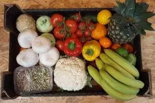 Ovoce zelenina: Ăšprava otevĂracĂ doby