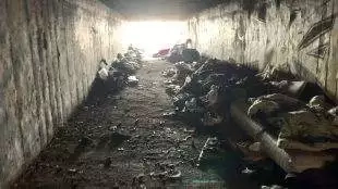 (VIDEO) Záběry z akce Ukliďme Hrabovou se objevily v televizi na ČT24