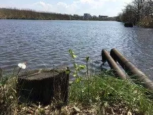 Pilíky, Pilíky, co s Vámi v dalších letech bude? [2]