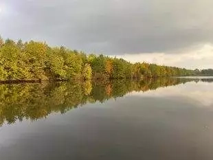 Pilíky, Pilíky, co s Vámi v dalších letech bude? [1]