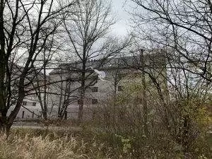 Igelit na stromech u točny autobusů