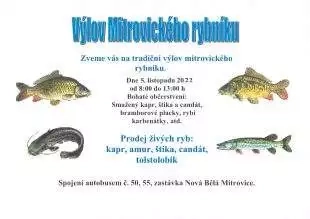 Hana Chlupatá: VĂ˝lov MitrovickĂ©ho rybnĂku – 5.11. 2022