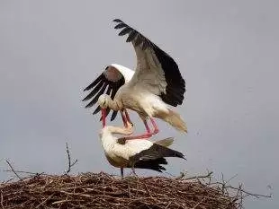 (FOTO) VilĂ©m a JasmĂna opÄ›t spolu