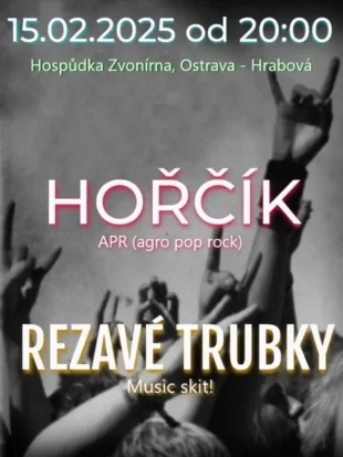 HudebnĂ veÄŤer v HospĹŻdce ZvonĂrna - 15.2. 2025