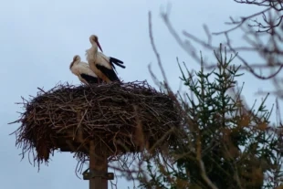 (FOTO) Vilém a Jasmína jsou již spolu ❤️
