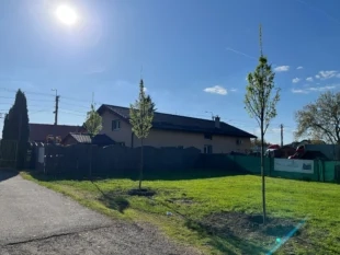 (FOTO) TJ Sokol Hrabová ožívá novou zelení