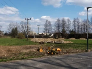 (FOTO) Ořezy a kácení stromů na Domovské