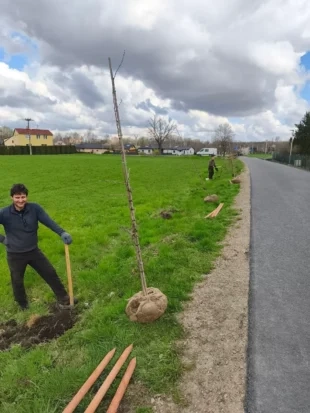 (FOTO) Hrabová bude zelenější: Díky radní Kročkové a úřednici Kluzové přibyly nové stromy