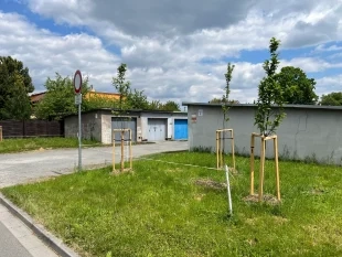 TORALI: Výsadba habrů u garáží