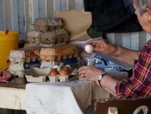 (FOTO) Vaječina v Hrabové 2025: v hlavnà roli 267 vajec