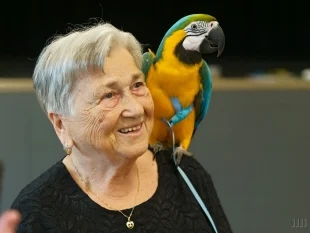(FOTO) Papouščí dopoledne v kulturním domě
